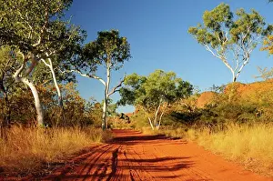 Australasia Prints: Road in Purnululu National Park, Kimberley, Western Australia, Australia