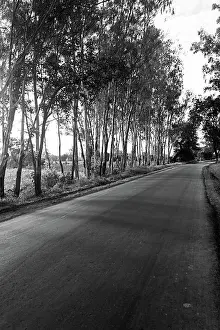 Einzelheit Prints: Road at Ralegaon Siddhi Maharashtra India Asia sept 2011 India Copyright: xVxMishra/DinodiaxPhotox