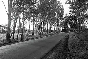 Einzelheit Prints: Road at Ralegaon Siddhi Maharashtra India Asia sept 2011 India Copyright: xVxMishra/DinodiaxPhotox