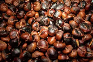 Produce Prints: Roasted chestnuts mercado La Boqueria Market