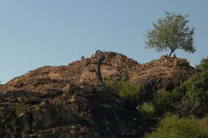 Historical Site Prints: Rock embattlements on Mmamagwa Hill built in circa AD 1220 and rebuilt by the Venda people circa 1800