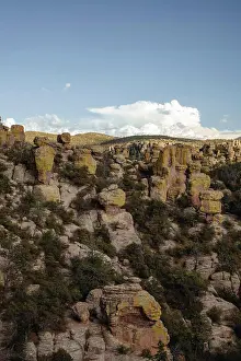 Terrestrial Prints: Rock formations at Chiricahua National Monument vertical