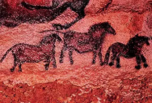 Herbivorous Prints: Rock Painting of Tarpans (Ponies) c