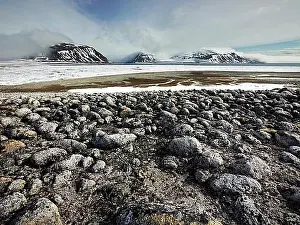 Rocks Prints: Rocky coast at Spitsbergen, Spitsbergen Island