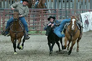 Exterior Photograph Prints: Rodeo, Gardiner, Montana, USA, North America