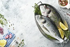 Assorted Prints: Rohe Goldbrasse oder frischer Fisch mit Zutaten für die Zubereitung von Zitrone