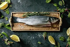 Seafood Prints: Roher ungekochter Fisch Wolfsbarsch Raw fresh uncooked fish sea bass on ceramit plate ready to cook with lemon