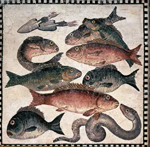 Contrast Prints: Roman mosaic panel with fish, England, London, Christie's Images, Roman Art