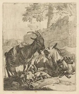 Roos, Johann Heinrich, Sheep, goats and cows