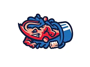 Graphic Prints: Rotated to right, Jacksonville Jumbo Shrimp Logo baseball, Baseball, Logo