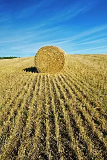 Pasture Prints: Round wheat straw bale and farmland, Tiger Hills, Manitoba
