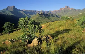 African Photograph Prints: Royal Natal National Park scenery with the Amphitheatre