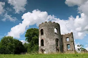 Ruined Prints: Ruined castle tower on shore of Lough Neagh