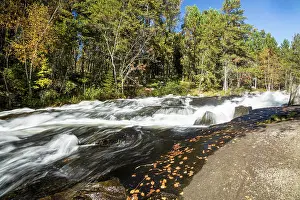 Rushing Prints: Rushing River, Rushing River Provincial Park, Ontario, Canada