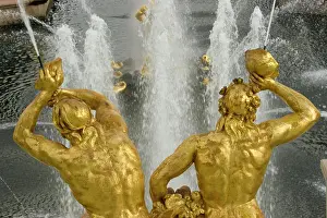Jaynes Gallery Prints: Russia, St. Petersburg. Samson fountain at Peterhof