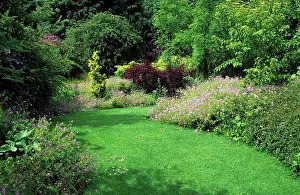 Woody Plant Prints: Rustic turf and bed of Geraniums and shrubs