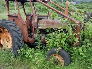Farm Prints: Rusty abandoned Fordson tractor