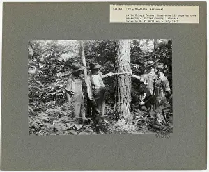 S & PF - Arkansas. Photographs Relating to National Forests