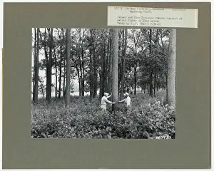 S & PF - Wisconsin. Photographs Relating to National Forests