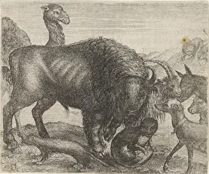 Publication Prints: Sadeler, Aegidius, Praag, Fable of the Bison and Other Animals