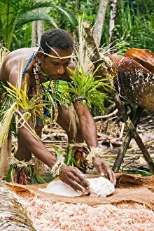 Anthropology Prints: Sago preparation demonstration at cultural event