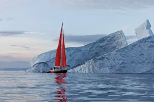 Shapes Prints: sailboat with red sails sailing between huge icebergs