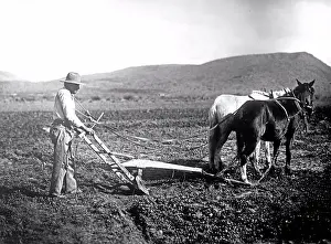 Historical Photo Prints: Salt River Project, Arizona Sacator Indian Reservation