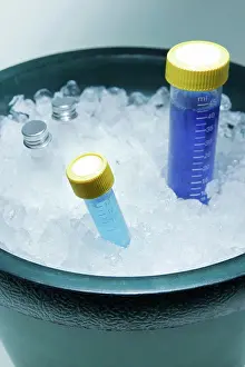 Bucket Prints: Samples stored on ice