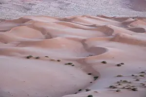 Arid Prints: Sand dunes detail before dawn in the Rub al Khali desert, Oman, Middle East