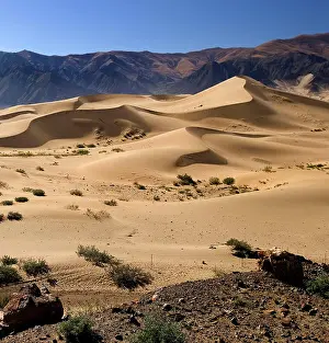 Arid Prints: Sand dunes in a desert area of the Tibetan Plateau in the Tibet Autonomous Region of China