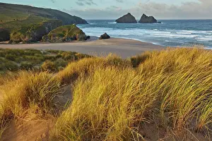 Shores Prints: Sand dunes at Holywell Bay, a place made famous by BBC drama Poldark