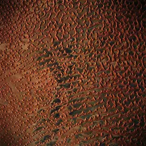 Handheld Prints: The Sand Dunes in Saudi Arabia as Viewed from Space