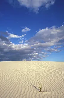 Untouched Prints: Sand dunes at White Sands National Monument, New Mexico