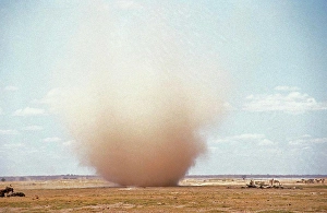 Wildebeest Prints: Sand Tornado in Kenya
