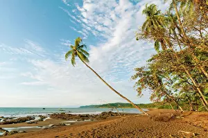 Seas Prints: Sandstrand und Palmen, Costa Rica