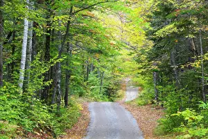 Sandwich Prints: The Sandwich Notch Road in Sandwich
