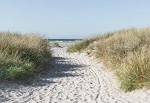 Scenics Prints: sandy beach and dunes on the North Sea coast in Denmark