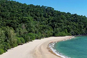 Curve Prints: Sandy beach and forest Beach and lighthouse