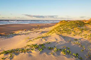 Kustenstrich Prints: Sandy beach Sandy beach Copyright: xZoonar.com/GalynaxAndrushkox 22511440