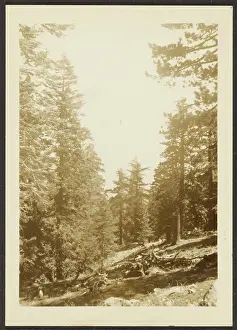 Santa Rosa Peak. Louis Fleckenstein