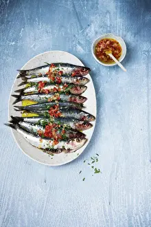 Objekt Prints: sardinen, vorspeise, sardine, vorspeisen ** sardines, appetizer, appetizers 539-r7u