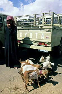 Middle Eastern Prints: Saudi Arabia, Near Abha, Al Wadijan, Friday Market, Goats