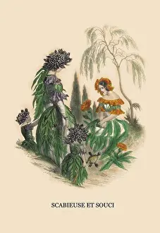 Bouquet Prints: Scabieuse et Souci, Flower Nymphs