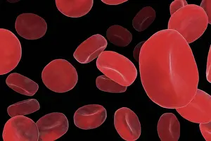 Science Prints: Scanning electromicrograph styled red blood cells