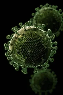 Infectious Disease Prints: Scanning electron microscope styled HIV cells