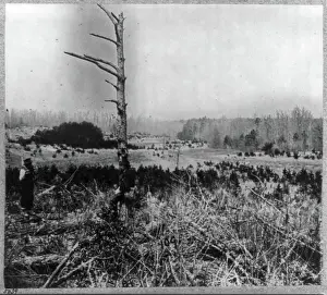 1861 1865 Prints: Scene of unsuccessful charges against Confederate entrenchments at junction of old and new Court House Roads