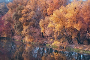 Malerisch Prints: Scenic Herbstlandschaft mit bunten Natur und Reflexion im Wasser des Flusses *** Scenic Autumn Landscape with colourful