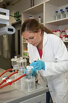 North Rhine Westphalia Prints: Scientist of biology at a laboratory filter unit in the genetic engineering section of the laboratories of