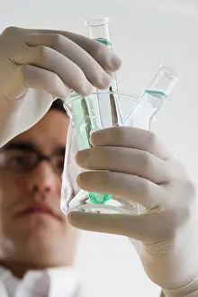 Hispanic Prints: Scientist examining chemicals in test tubes