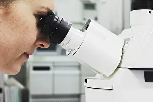 Worked Prints: Scientist looking through microscope